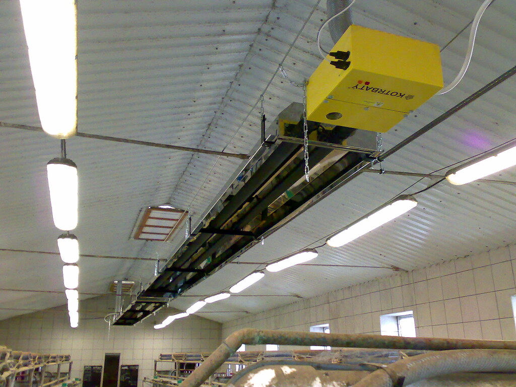 Gas infrared heater heating livestock in an agricultural building